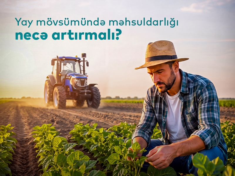 yay-movsumunde-mehsuldarligin-sirri-kombayn-ve-traktorlarin-kend-teserrufatindaki-rolu