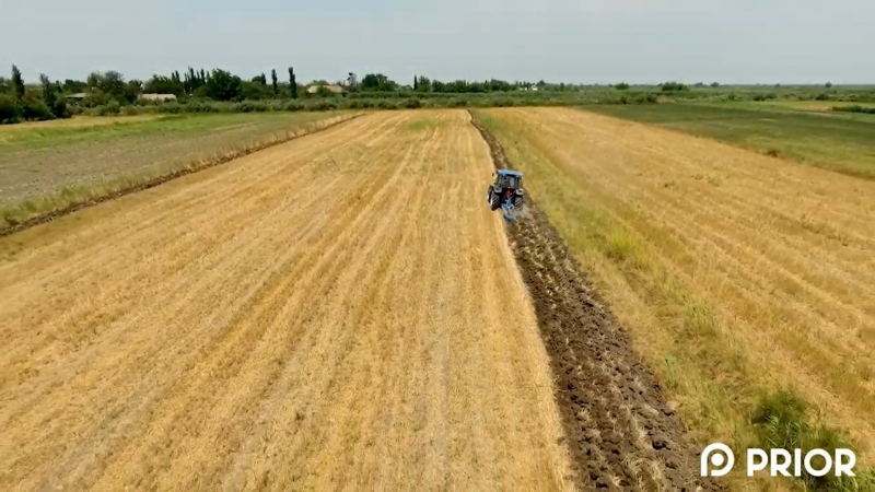 Yay şumu necə aparılmalıdır