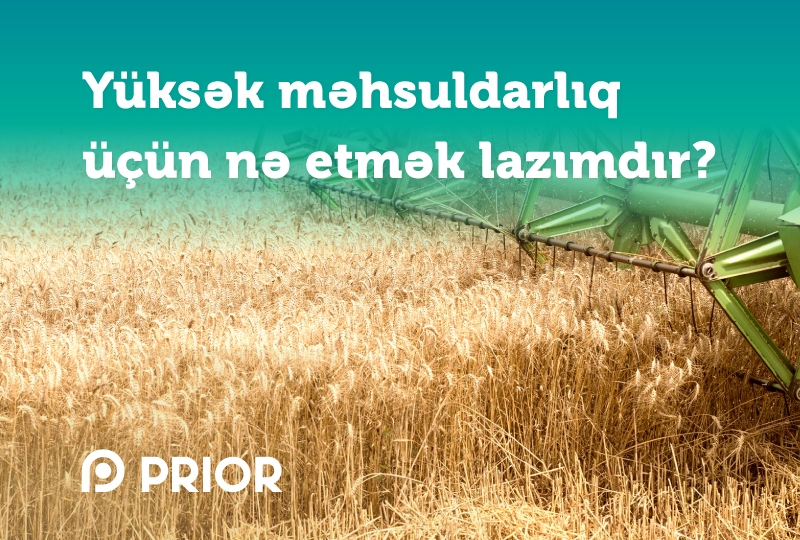 Yüksək məhsuldarlıq üçün nə etmək lazımdır?