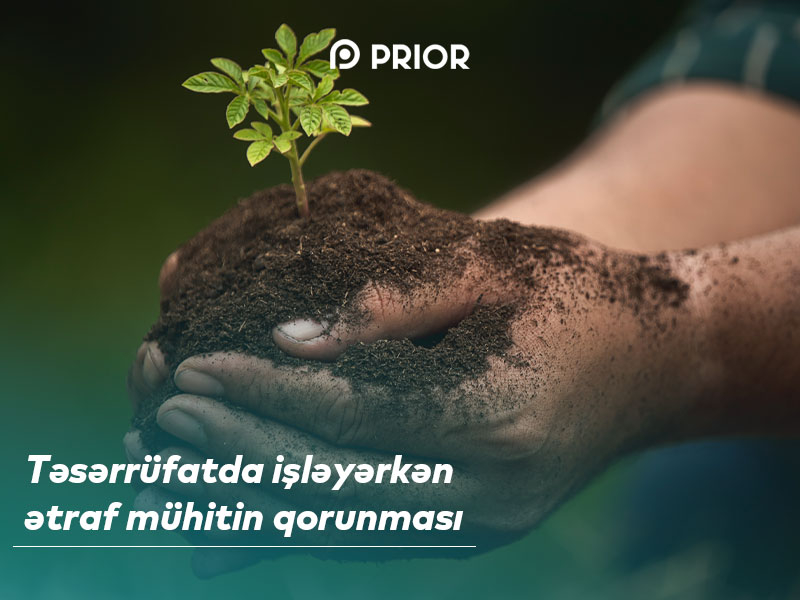 Təsərrüfatda işləyərkən ətraf mühitin qorunması