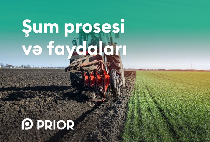 Şum prosesi və faydaları