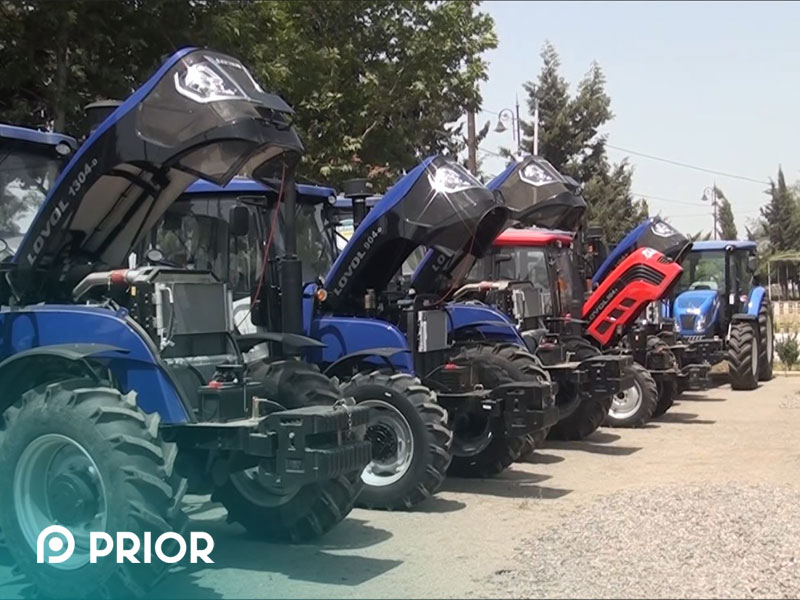 Salyanda toplu servis günü